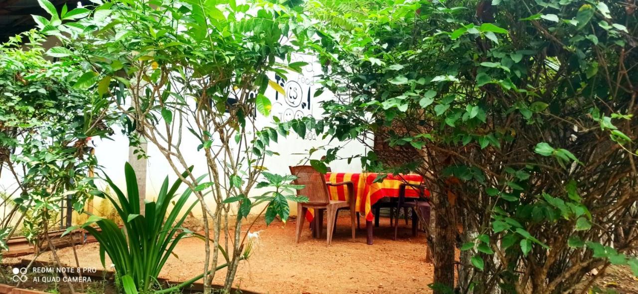 Sigiri Picaso Home Stay Sigiriya Eksteriør bilde