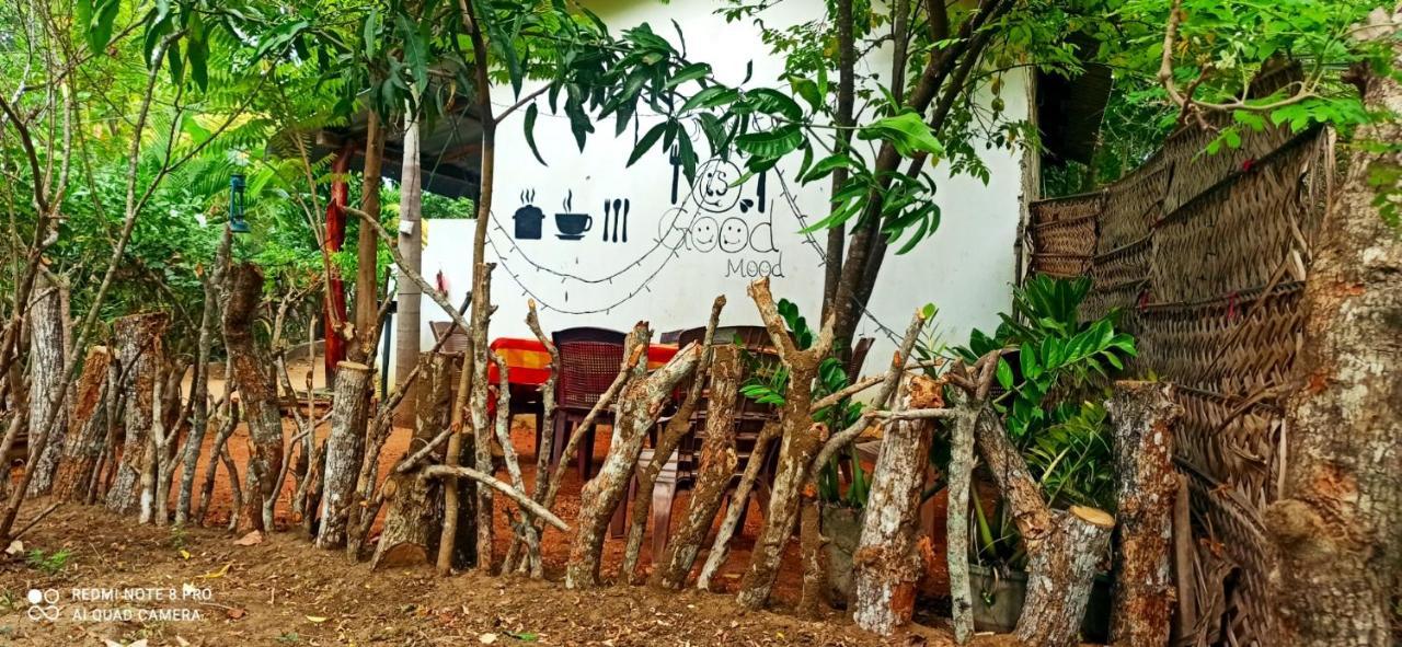 Sigiri Picaso Home Stay Sigiriya Eksteriør bilde