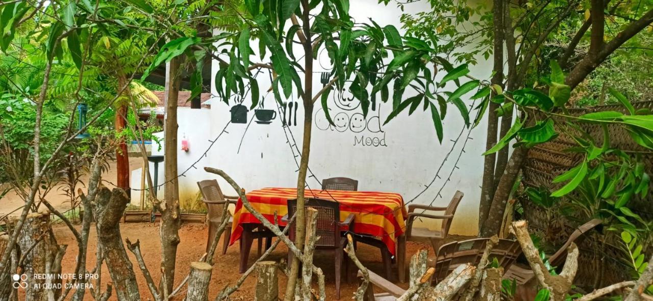Sigiri Picaso Home Stay Sigiriya Eksteriør bilde
