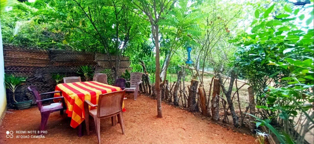 Sigiri Picaso Home Stay Sigiriya Eksteriør bilde