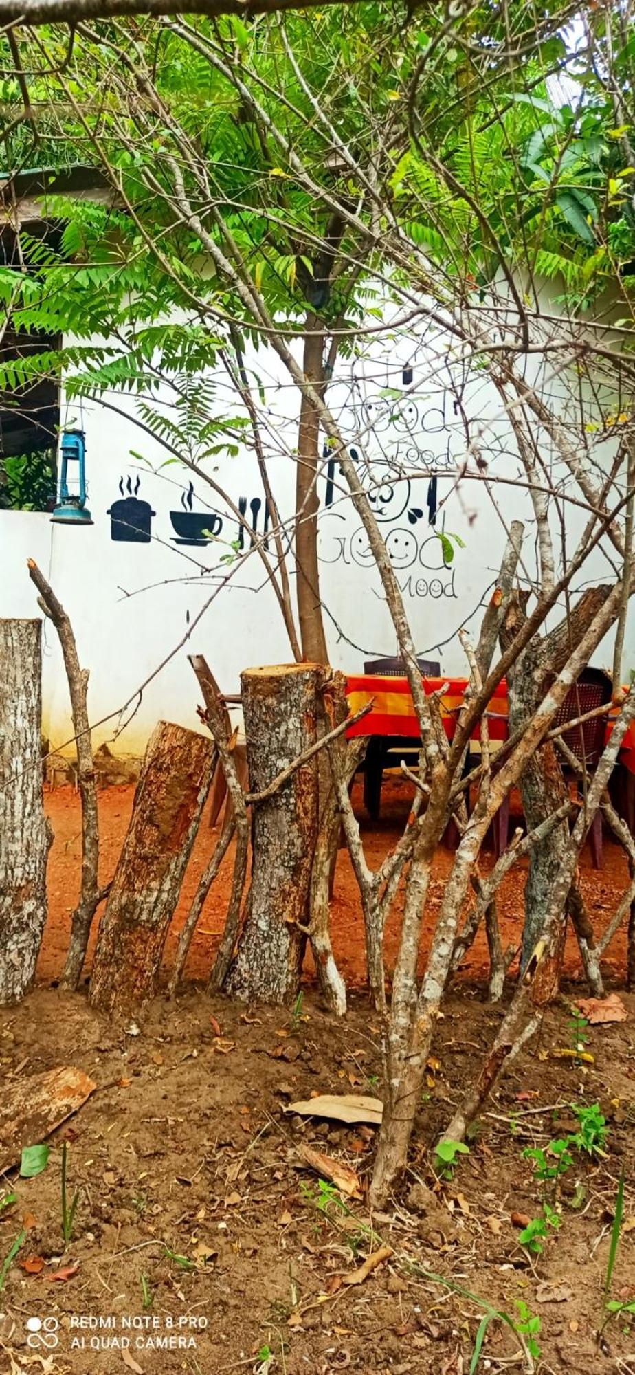 Sigiri Picaso Home Stay Sigiriya Eksteriør bilde