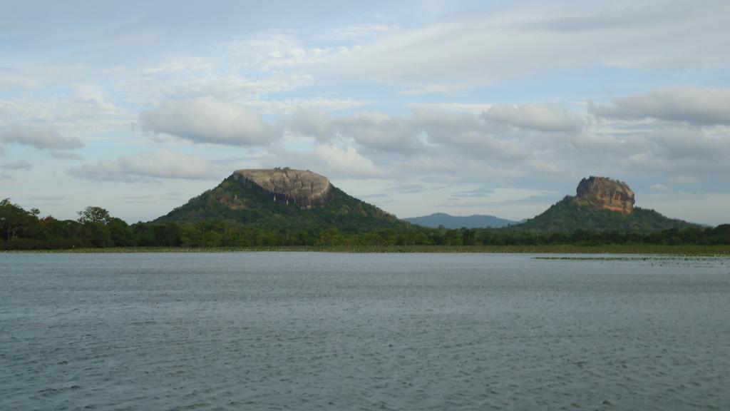 Sigiri Picaso Home Stay Sigiriya Eksteriør bilde
