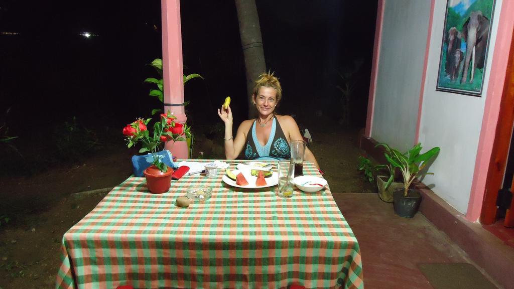 Sigiri Picaso Home Stay Sigiriya Eksteriør bilde