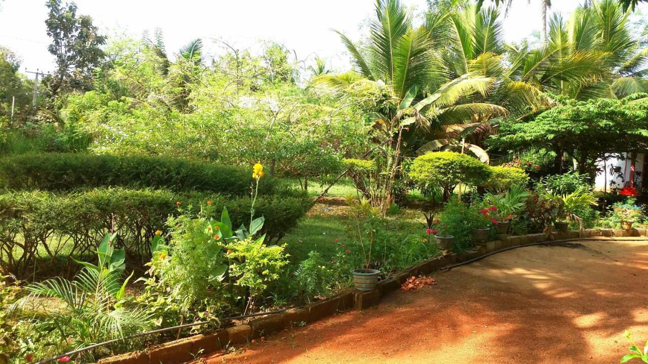 Sigiri Picaso Home Stay Sigiriya Eksteriør bilde