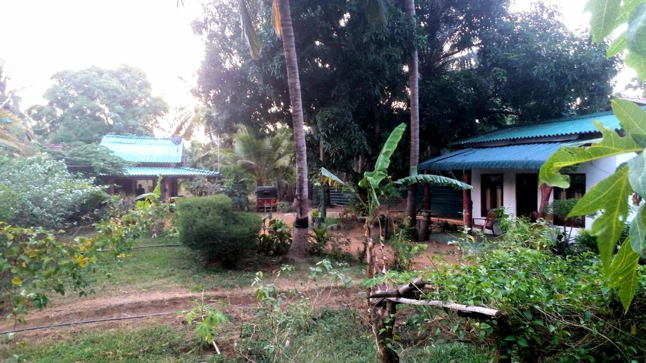 Sigiri Picaso Home Stay Sigiriya Eksteriør bilde