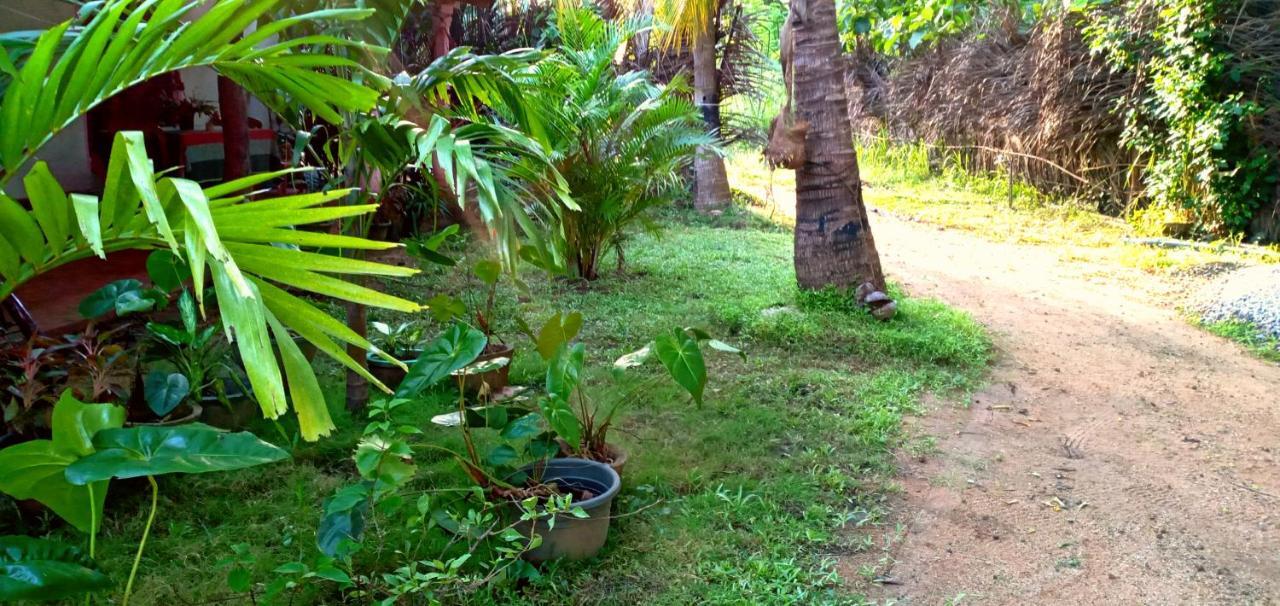 Sigiri Picaso Home Stay Sigiriya Eksteriør bilde