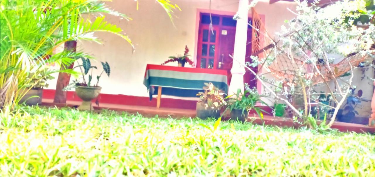Sigiri Picaso Home Stay Sigiriya Eksteriør bilde