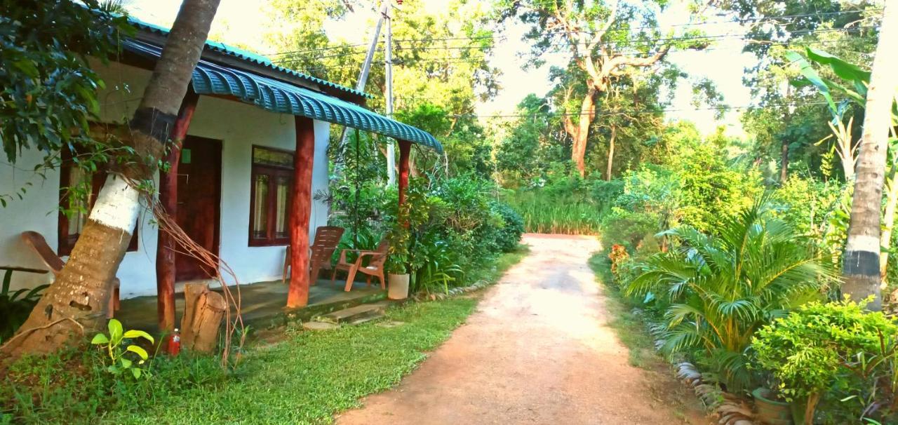 Sigiri Picaso Home Stay Sigiriya Eksteriør bilde