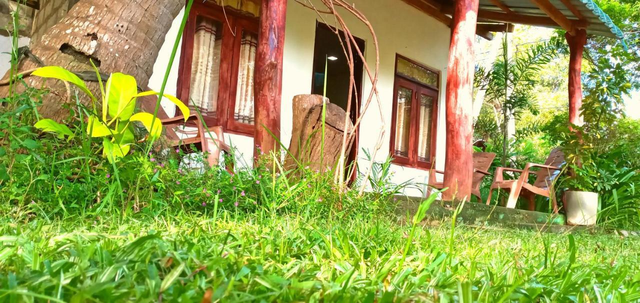 Sigiri Picaso Home Stay Sigiriya Eksteriør bilde